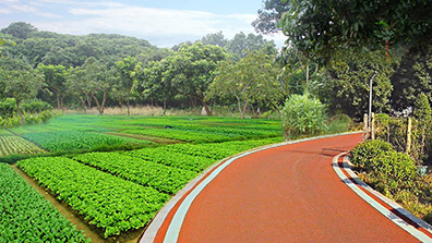 美環(huán)境，惠民生，繪就美麗圩鎮(zhèn)實景圖